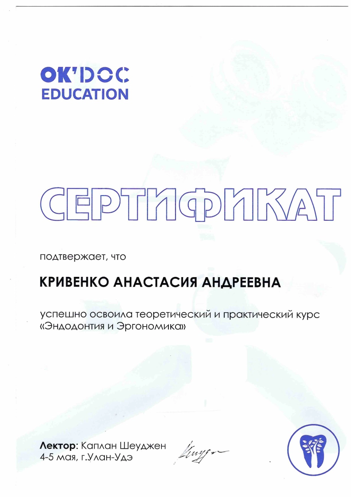 Сертификат 2